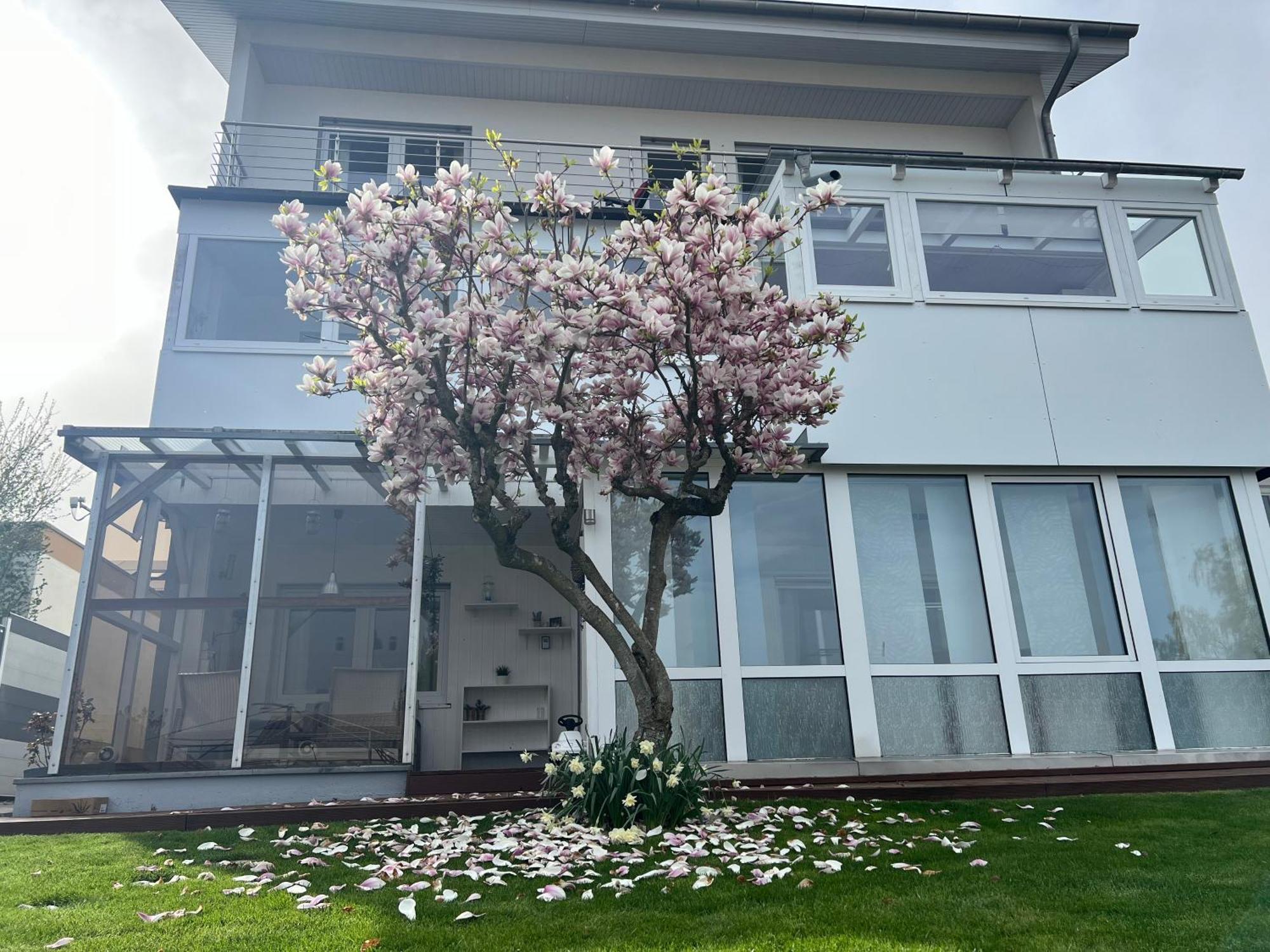 Ferienwohnung Schwarzwald Lodge Schömberg エクステリア 写真