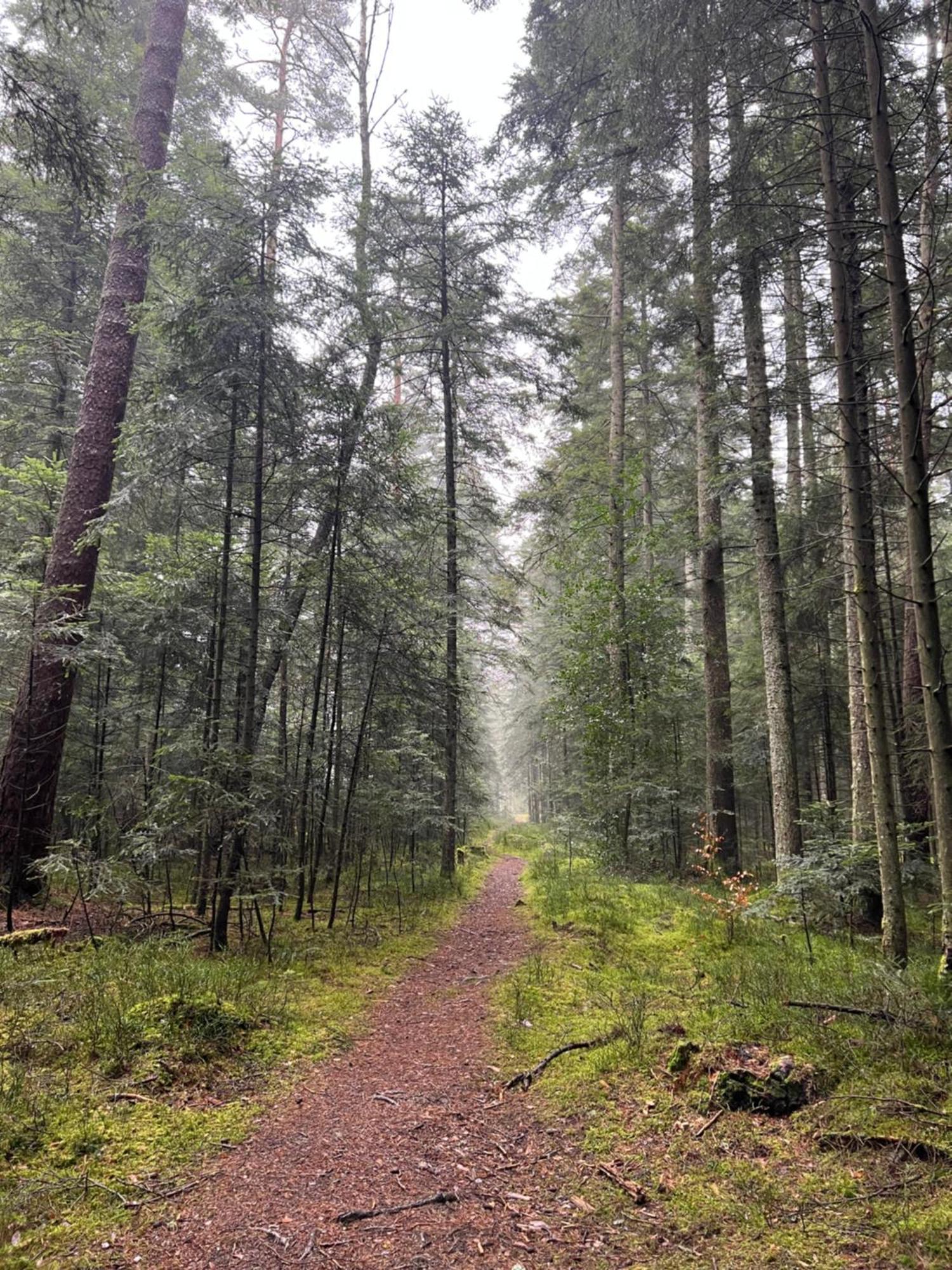 Ferienwohnung Schwarzwald Lodge Schömberg エクステリア 写真